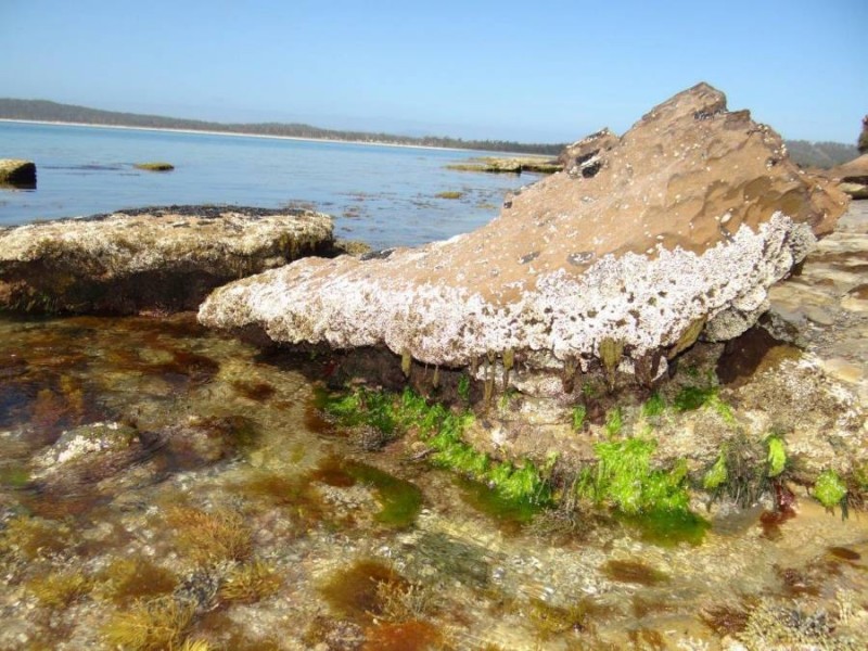 Lot 1 Black Jack Road, Sloping Main TAS 7186