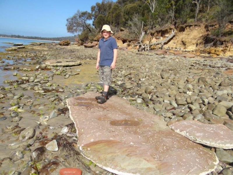 Lot 1 Black Jack Road, Sloping Main TAS 7186