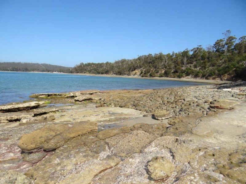 Lot 1 Black Jack Road, Sloping Main TAS 7186