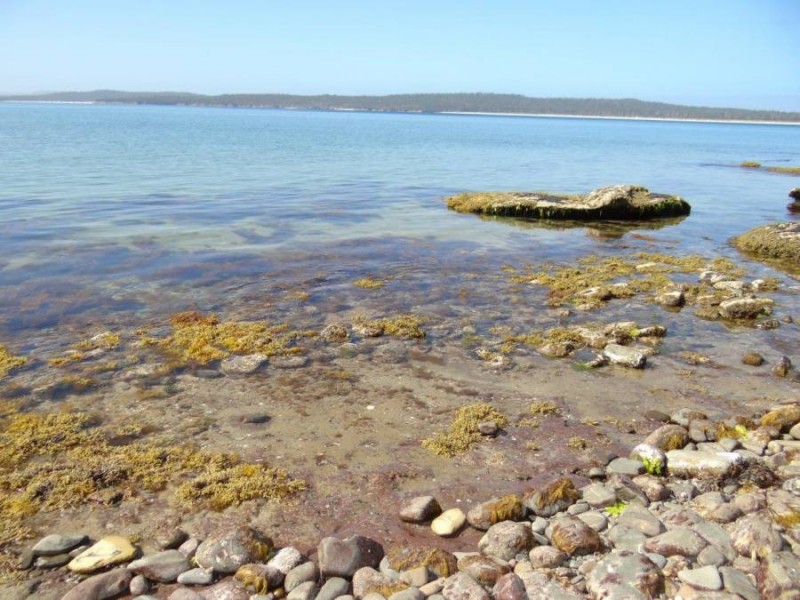 Lot 1 Black Jack Road, Sloping Main TAS 7186