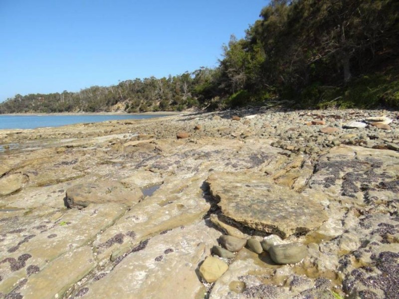 Lot 1 Black Jack Road, Sloping Main TAS 7186