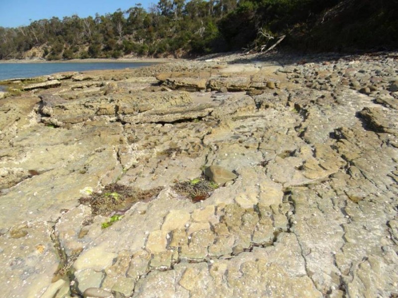 Lot 1 Black Jack Road, Sloping Main TAS 7186