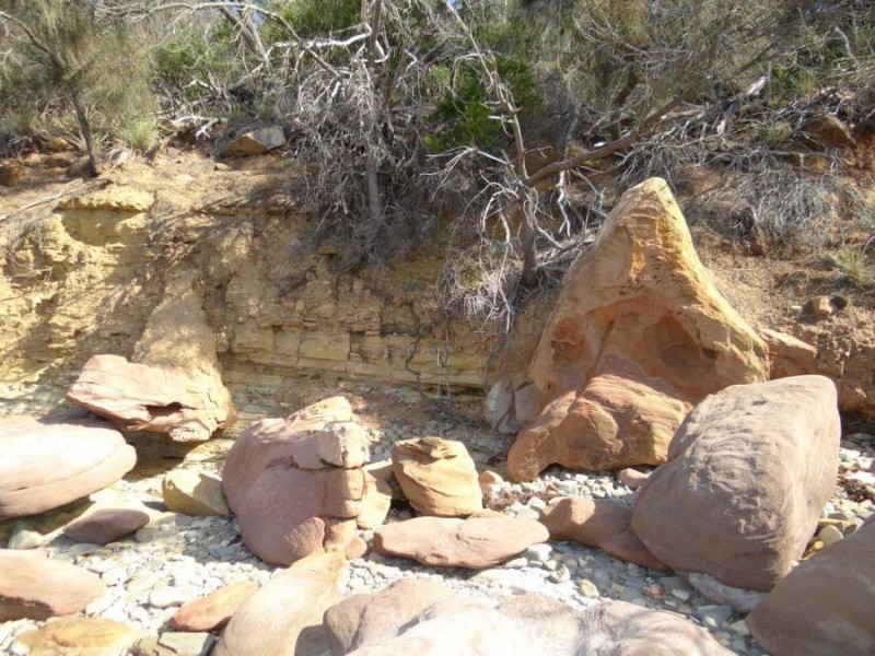 Lot 1 Black Jack Road, Sloping Main TAS 7186