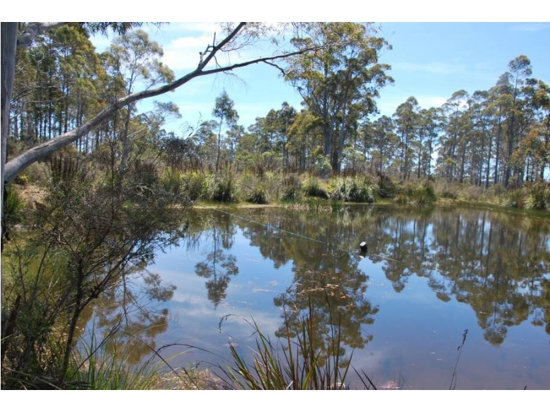 1749 Nugent Road, Nugent TAS 7172