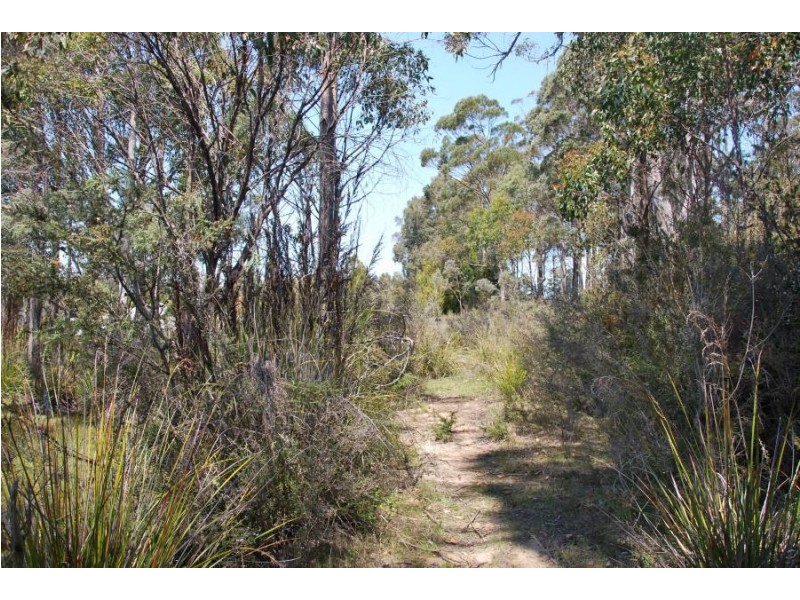 1749 Nugent Road, Nugent TAS 7172