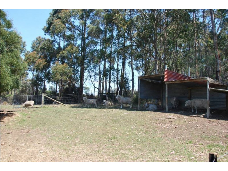 1749 Nugent Road, Nugent TAS 7172