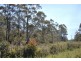 1749 Nugent Road, Nugent TAS 7172