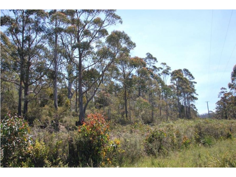 1749 Nugent Road, Nugent TAS 7172
