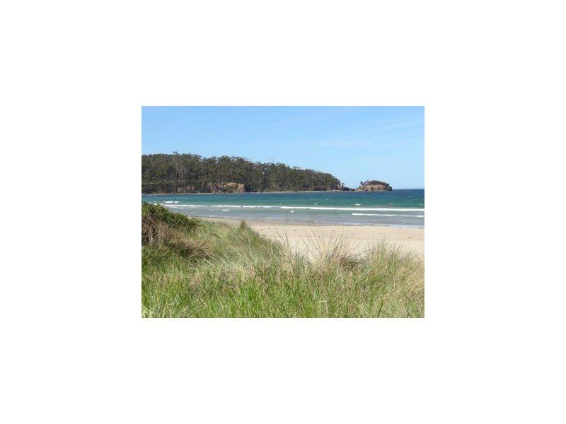 Lots 1 & 4 Pirates Bay Road, Eaglehawk Neck TAS 7179