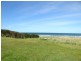 Lots 1 & 4 Pirates Bay Road, Eaglehawk Neck TAS 7179