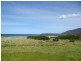 Lots 1 & 4 Pirates Bay Road, Eaglehawk Neck TAS 7179