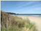 Lots 1 & 4 Pirates Bay Road, Eaglehawk Neck TAS 7179