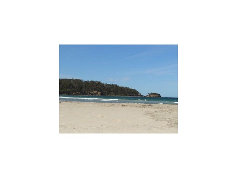 Lots 1 & 4 Pirates Bay Road, Eaglehawk Neck TAS 7179