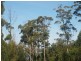 9 Pirates Bay Drive, Eaglehawk Neck TAS 7179