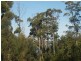 9 Pirates Bay Drive, Eaglehawk Neck TAS 7179