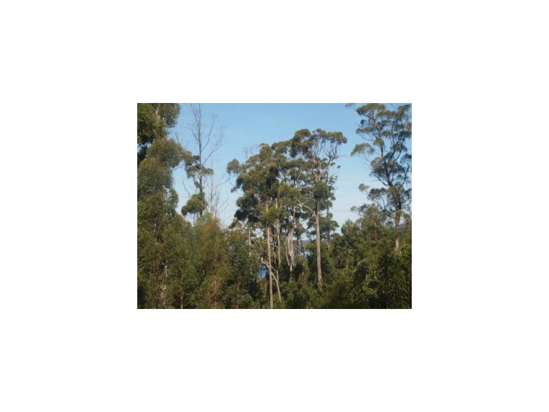 9 Pirates Bay Drive, Eaglehawk Neck TAS 7179