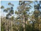 9 Pirates Bay Drive, Eaglehawk Neck TAS 7179