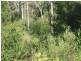 9 Pirates Bay Drive, Eaglehawk Neck TAS 7179