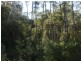 9 Pirates Bay Drive, Eaglehawk Neck TAS 7179