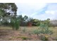 68 Carlton Beach Road, Dodges Ferry TAS 7173