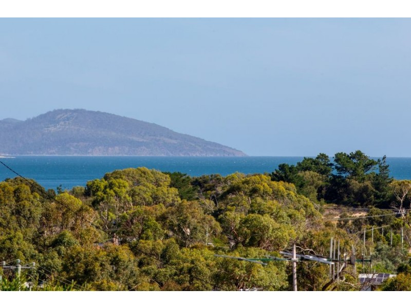 16 Joel Avenue, Carlton TAS 7173