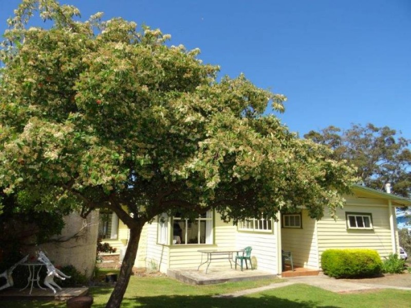 122b Old Jetty Road, Eaglehawk Neck TAS 7179