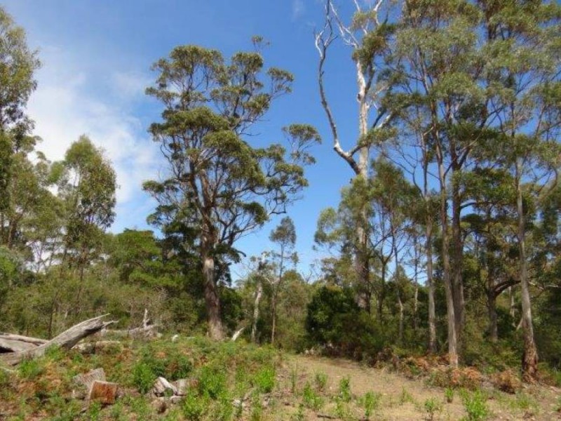 Lot 6/981 Roaring Beach Road, Nubeena TAS 7184