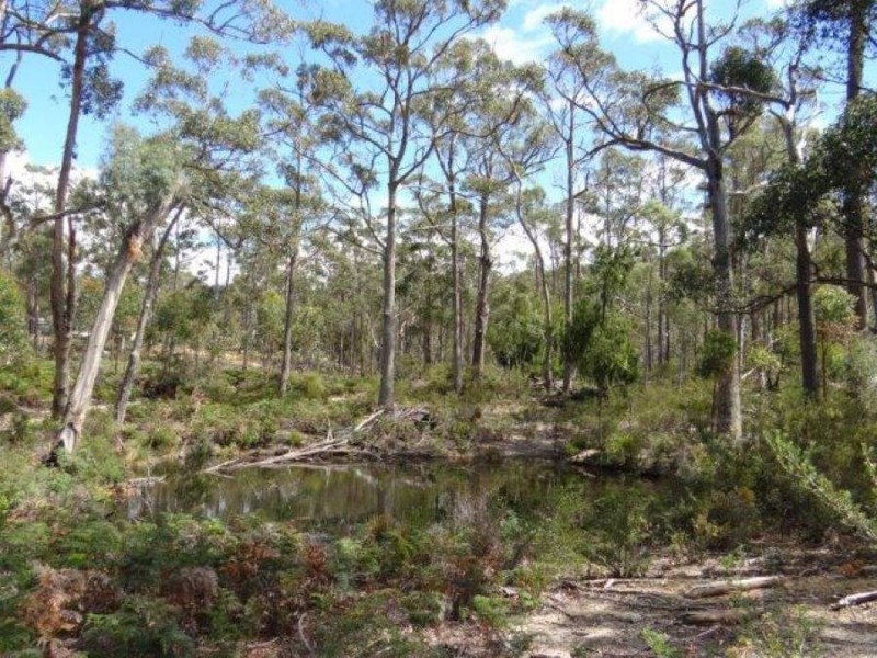 Lot 6/981 Roaring Beach Road, Nubeena TAS 7184