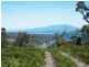 Saltwater River TAS 7186