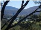 99 Lookout Road, Port Arthur TAS 7182