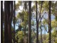 99 Lookout Road, Port Arthur TAS 7182