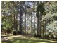 99 Lookout Road, Port Arthur TAS 7182