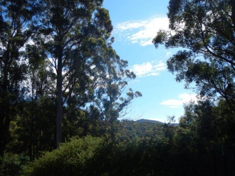 99 Lookout Road, Port Arthur TAS 7182