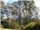99 Lookout Road, Port Arthur TAS 7182