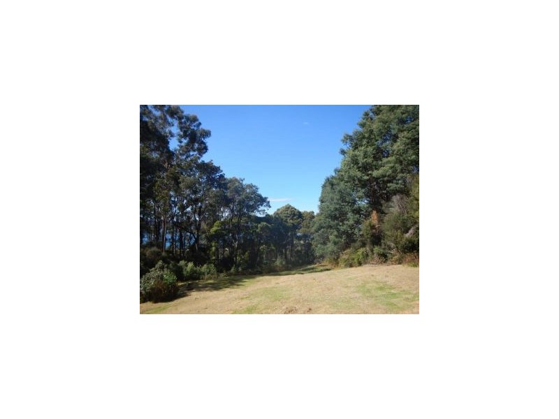 99 Lookout Road, Port Arthur TAS 7182