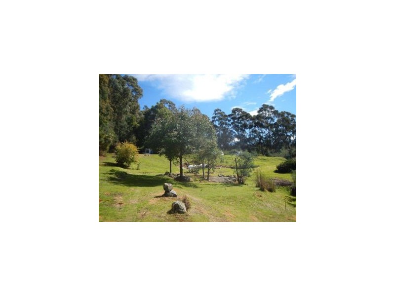 99 Lookout Road, Port Arthur TAS 7182