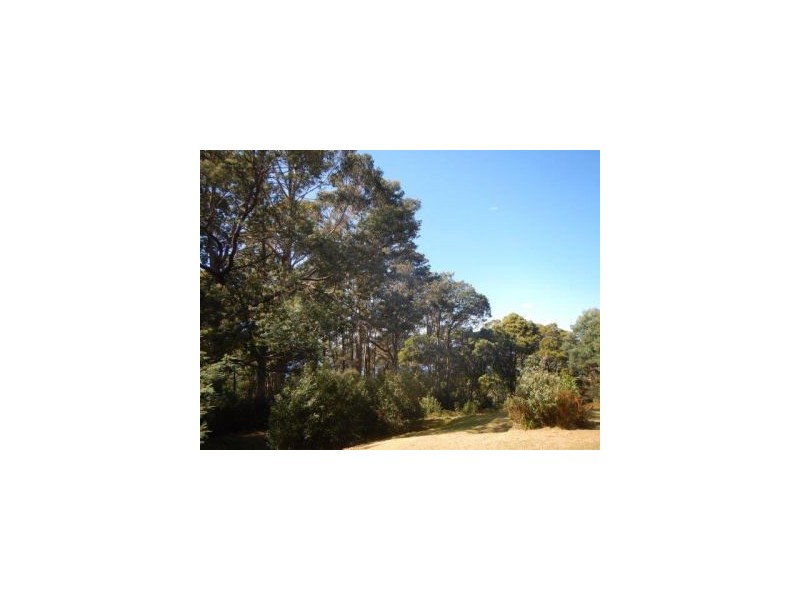 99 Lookout Road, Port Arthur TAS 7182