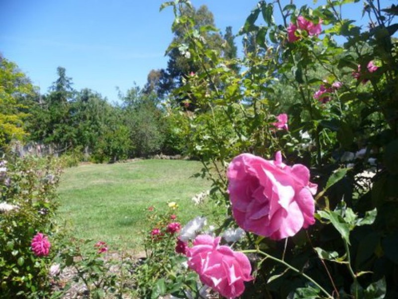 160 Estate Road “Cherry Vale”, Campania TAS 7026