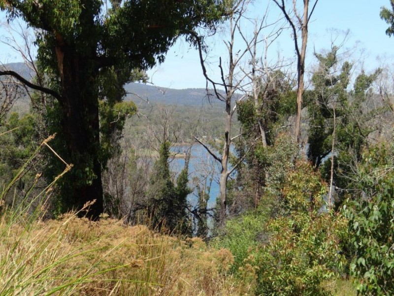 3834 Arthur Highway, Murdunna TAS 7178