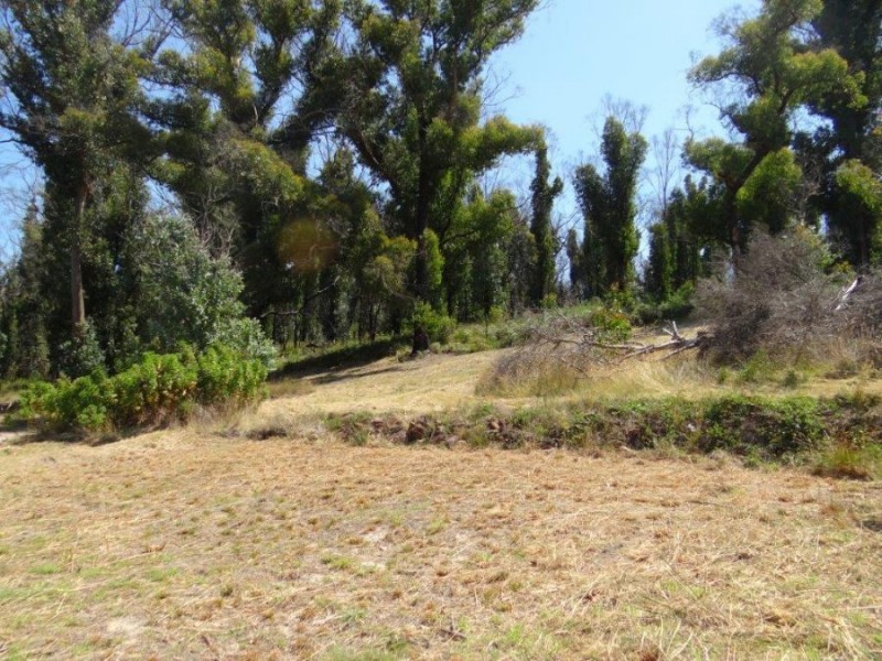 3834 Arthur Highway, Murdunna TAS 7178