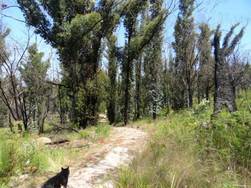 3834 Arthur Highway, Murdunna TAS 7178