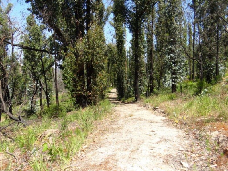 3834 Arthur Highway, Murdunna TAS 7178