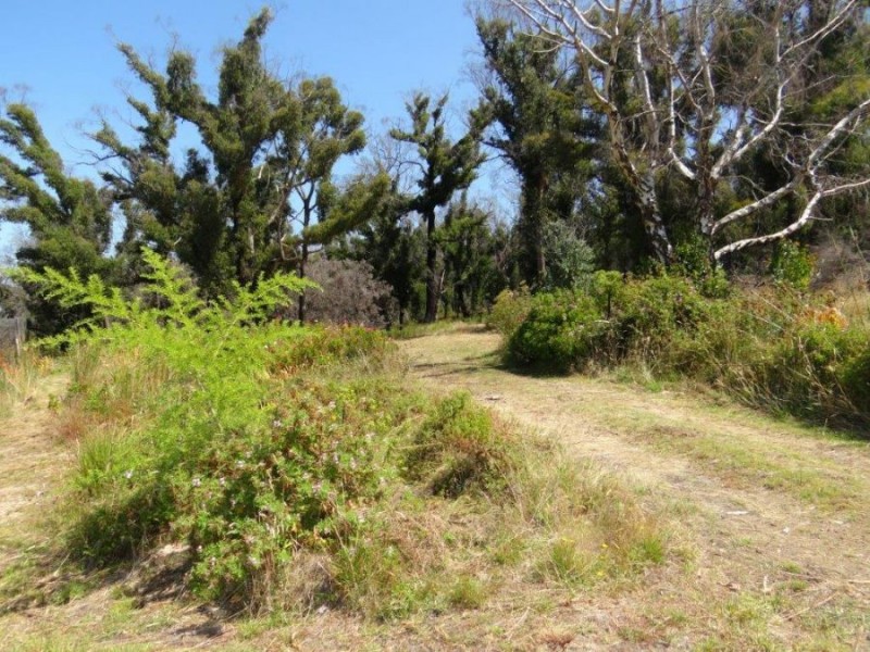 3834 Arthur Highway, Murdunna TAS 7178