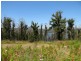 3834 Arthur Highway, Murdunna TAS 7178
