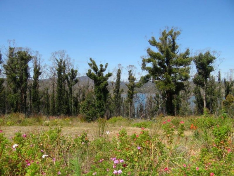 3834 Arthur Highway, Murdunna TAS 7178