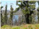 3834 Arthur Highway, Murdunna TAS 7178