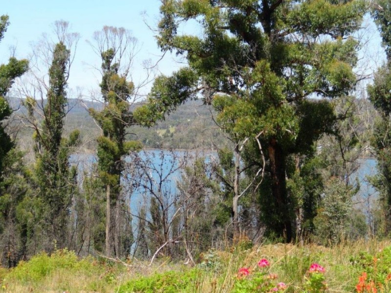 3834 Arthur Highway, Murdunna TAS 7178