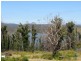 3834 Arthur Highway, Murdunna TAS 7178