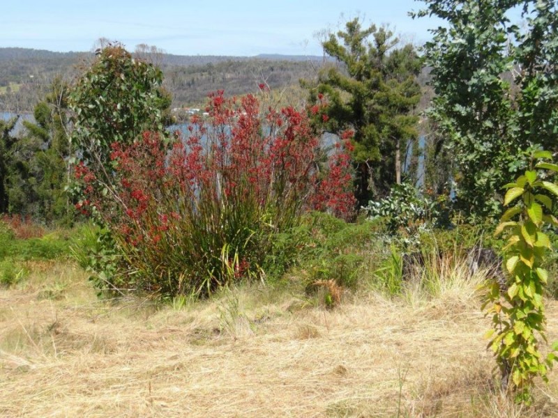 3834 Arthur Highway, Murdunna TAS 7178