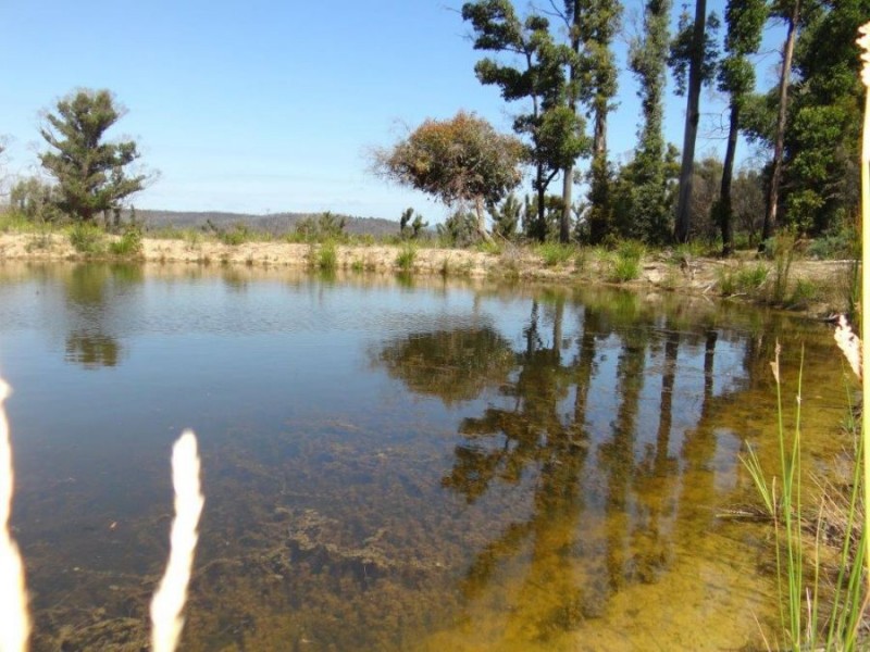 3834 Arthur Highway, Murdunna TAS 7178